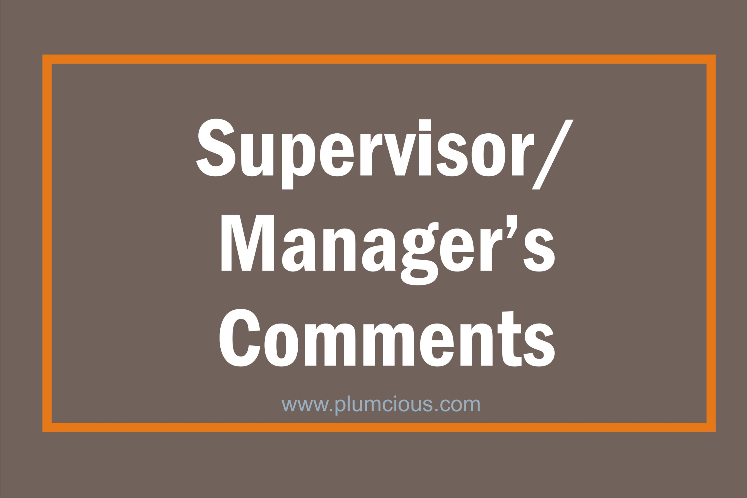 Short Manager Performance Review Examples