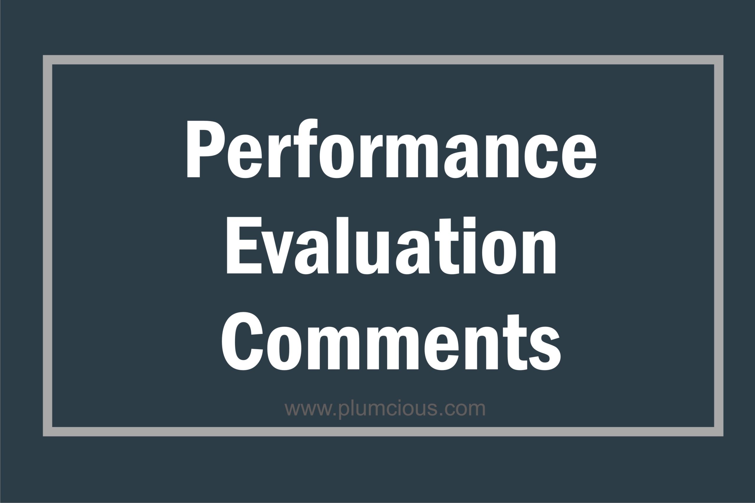 Performance Evaluation Comments