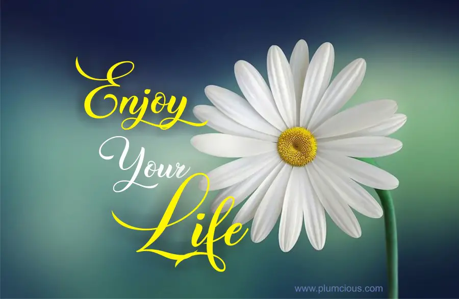 Enjoy Every Moment of Life Quotes