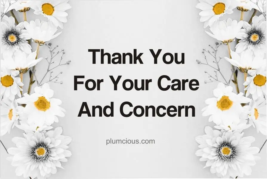 Thank You For Your Care And Concern Messages