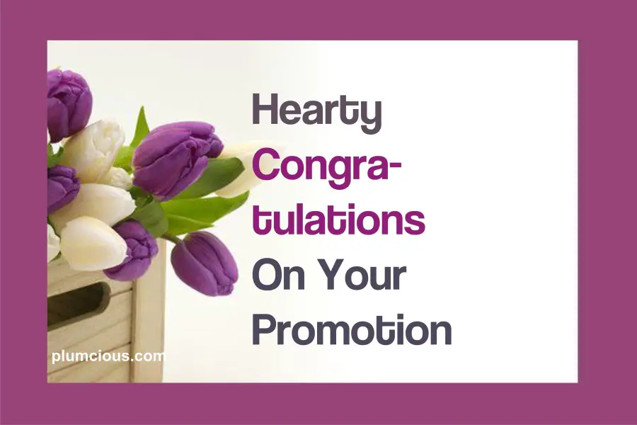Congratulations On Your Well Deserved Promotion