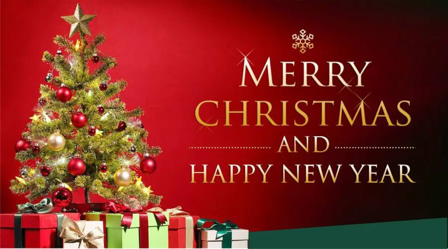Professional Christmas And New Year Wishes