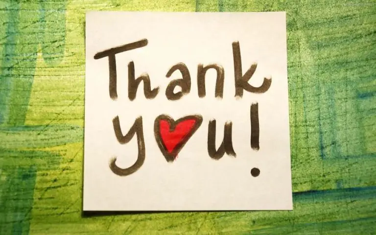 [2023] Unique Ways To Say Thank You For Your Assistance In This Matter
